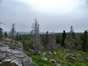 DSCF1437.jpg