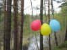 IMG_6842.JPG