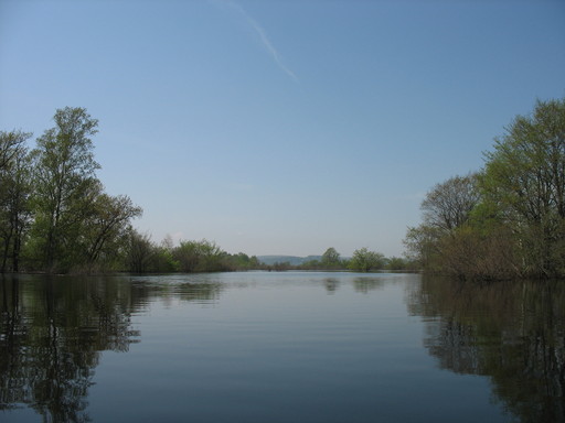 IMG_8947.JPG