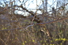 DSC_0160.JPG