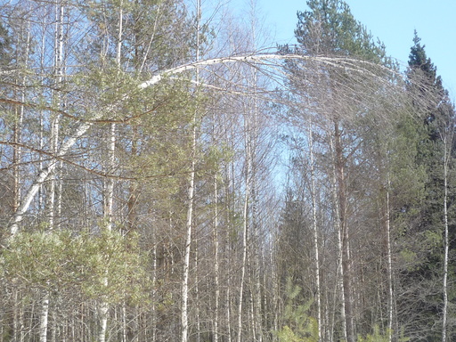 P1090387.JPG