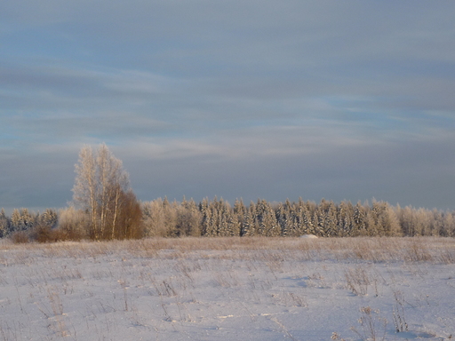 P1070143.JPG