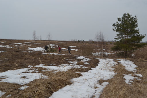 DSC_0898.JPG