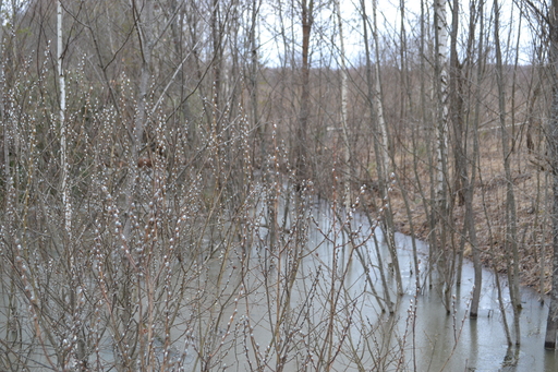 DSC_0084.JPG