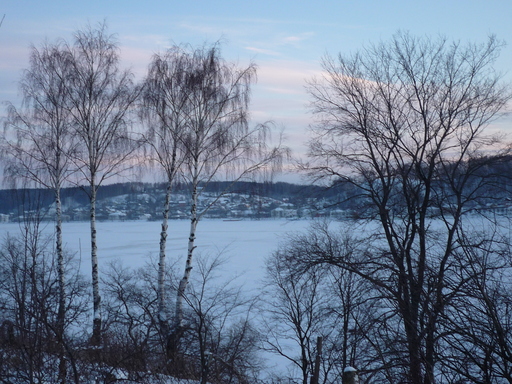 P1070166.JPG