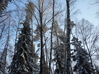 P1060801.JPG