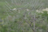 DSC_0890.JPG